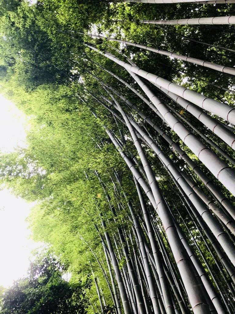 Historic & Cultural Preservation