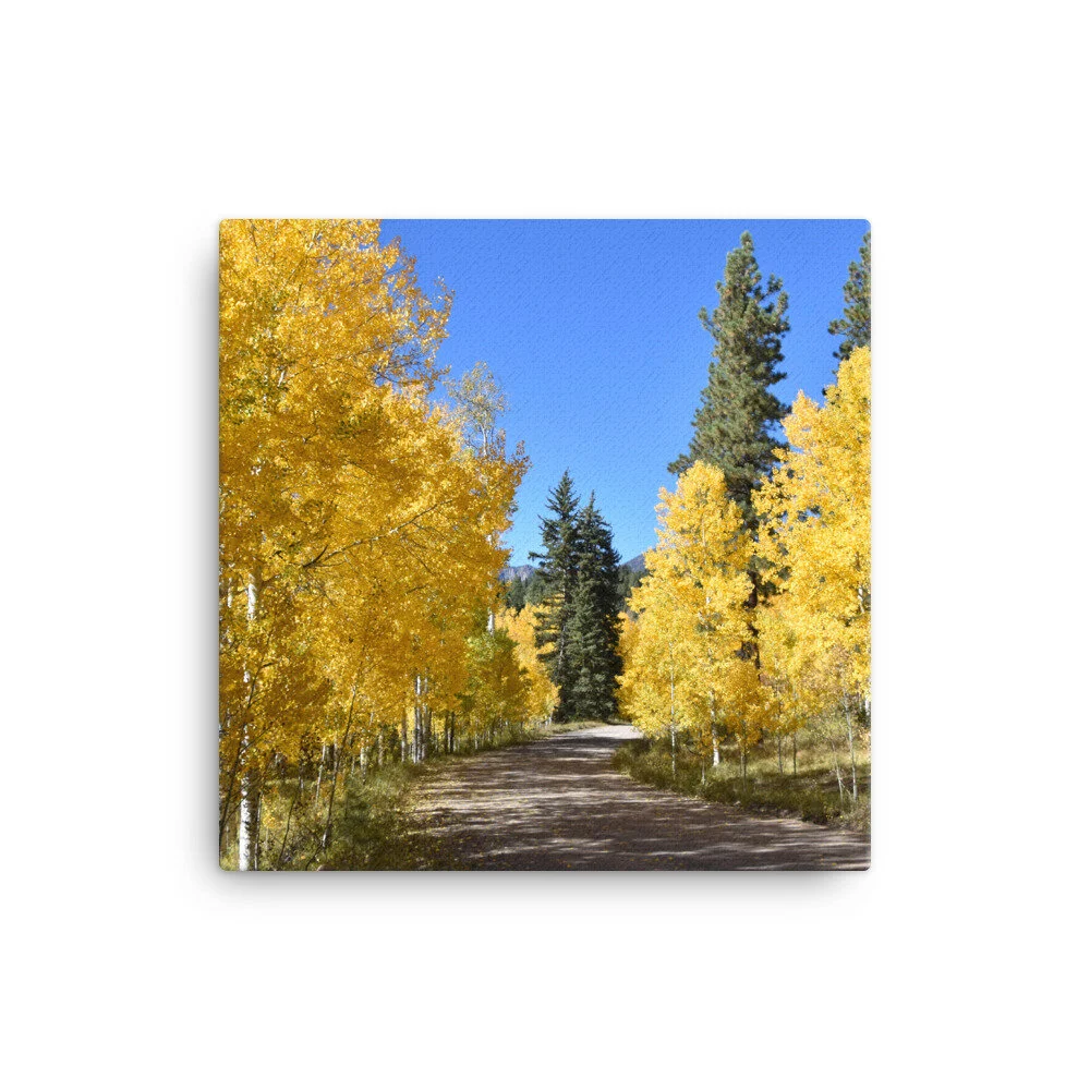 mockup-506111be.jpg