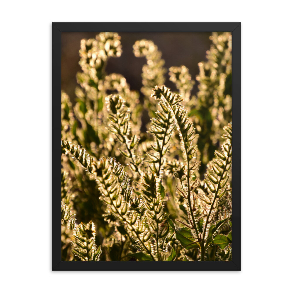 enhanced-matte-paper-framed-poster-(in)-black-18x24-5fc8f81b922b3.jpg