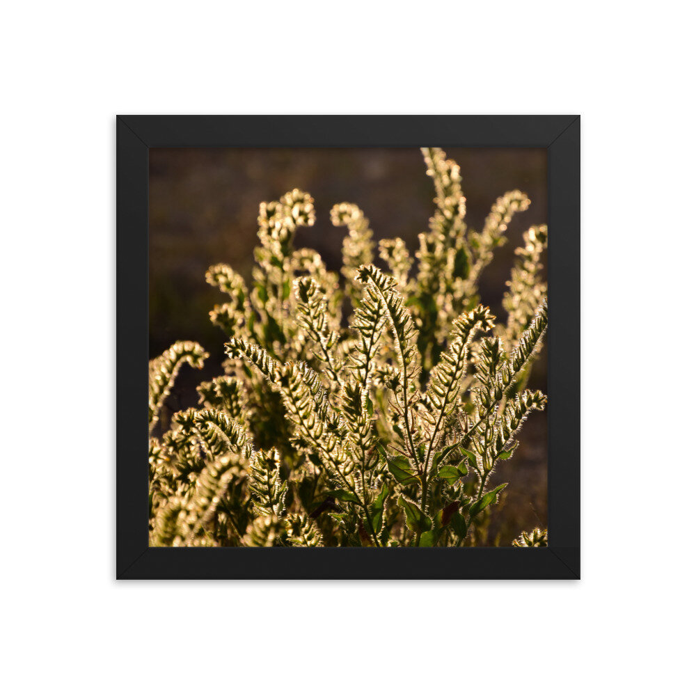enhanced-matte-paper-framed-poster-(in)-black-10x10-5fc8f81b924e9.jpg