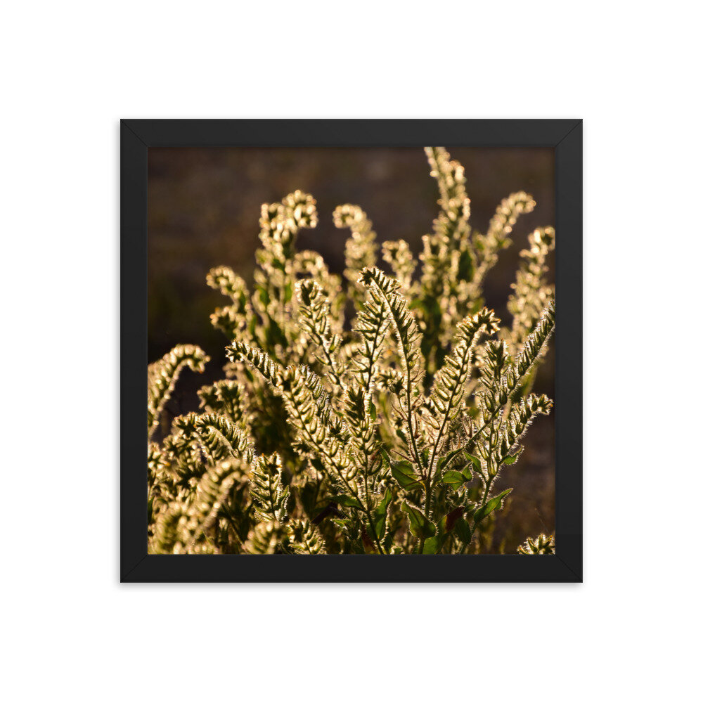 enhanced-matte-paper-framed-poster-(in)-black-12x12-5fc8f81b92528.jpg