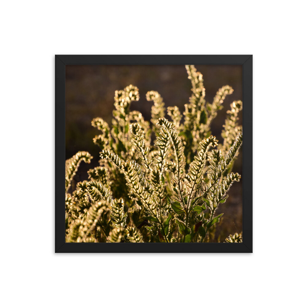 enhanced-matte-paper-framed-poster-(in)-black-14x14-5fc8f81b925ba.jpg