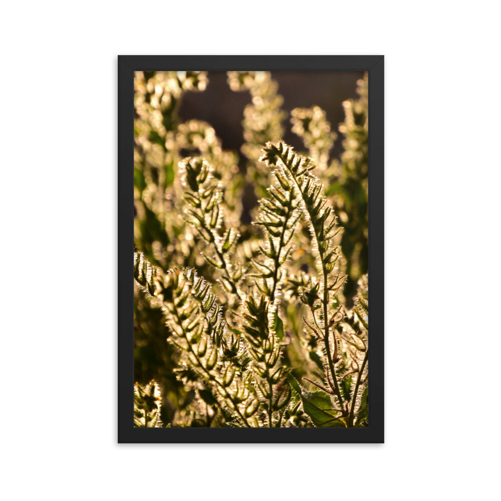 enhanced-matte-paper-framed-poster-(in)-black-12x18-5fc8f81b9261a.jpg