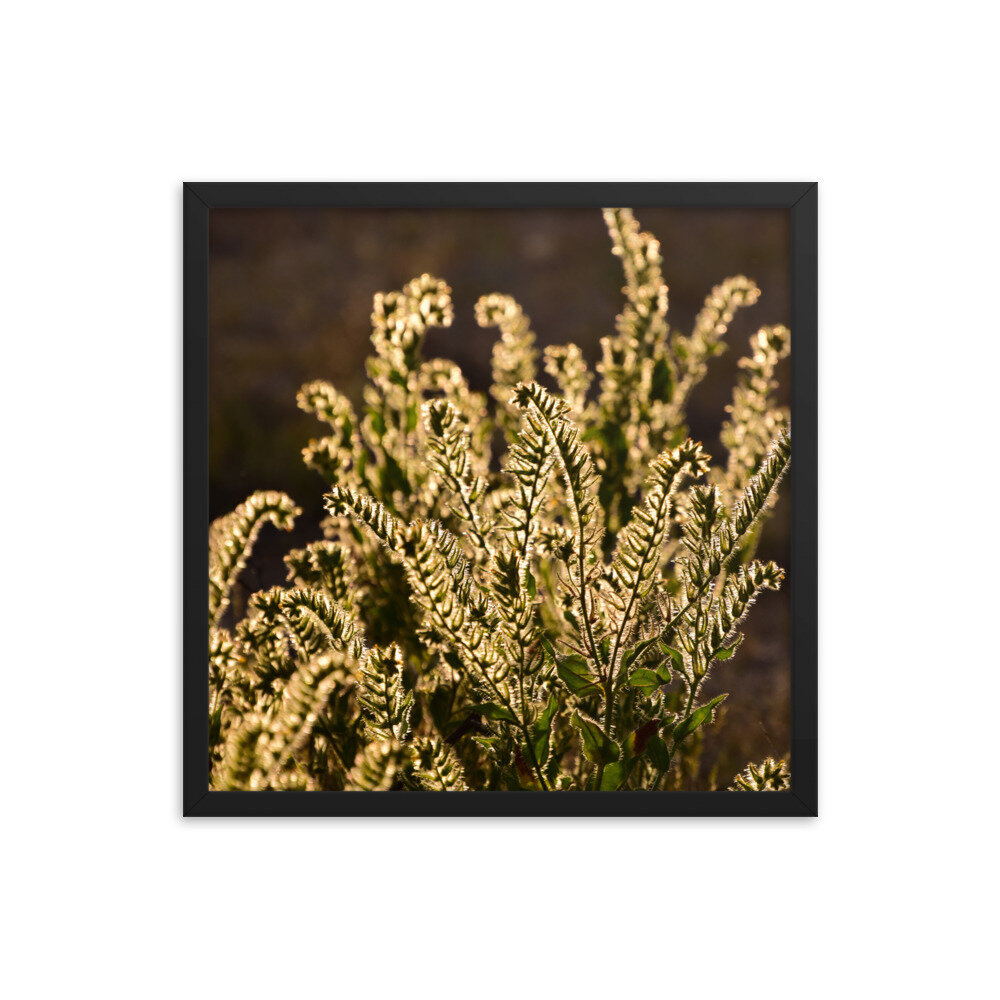 enhanced-matte-paper-framed-poster-(in)-black-18x18-5fc8f81b9272a.jpg
