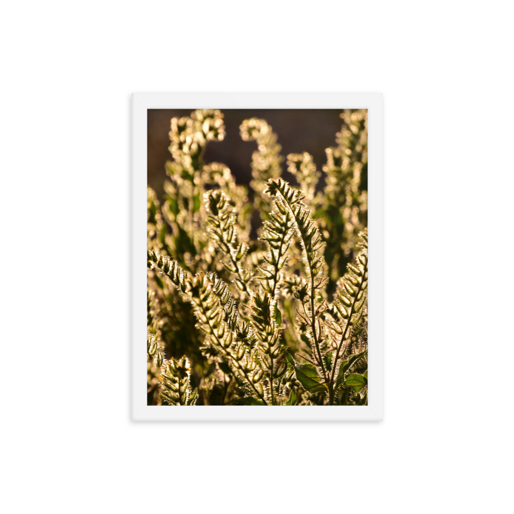enhanced-matte-paper-framed-poster-(in)-white-12x16-5fc8f81b92876.jpg
