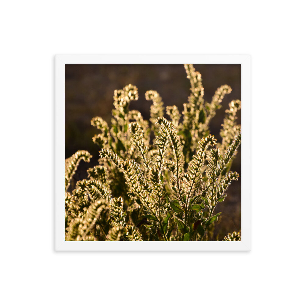 enhanced-matte-paper-framed-poster-(in)-white-14x14-5fc8f81b928d8.jpg