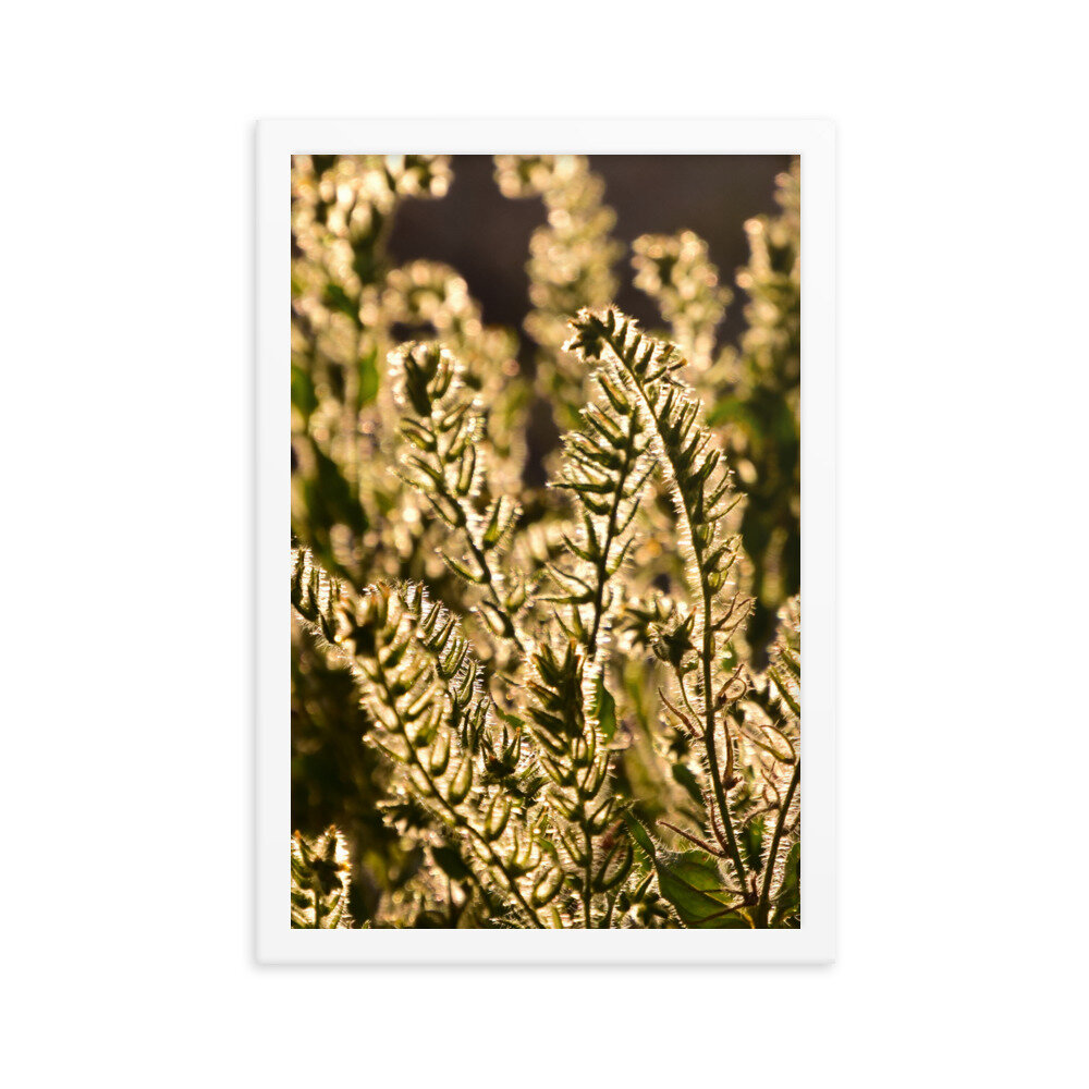 enhanced-matte-paper-framed-poster-(in)-white-12x18-5fc8f81b9294a.jpg