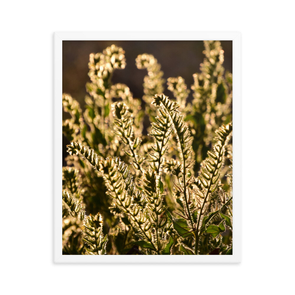 enhanced-matte-paper-framed-poster-(in)-white-16x20-5fc8f81b92a06.jpg