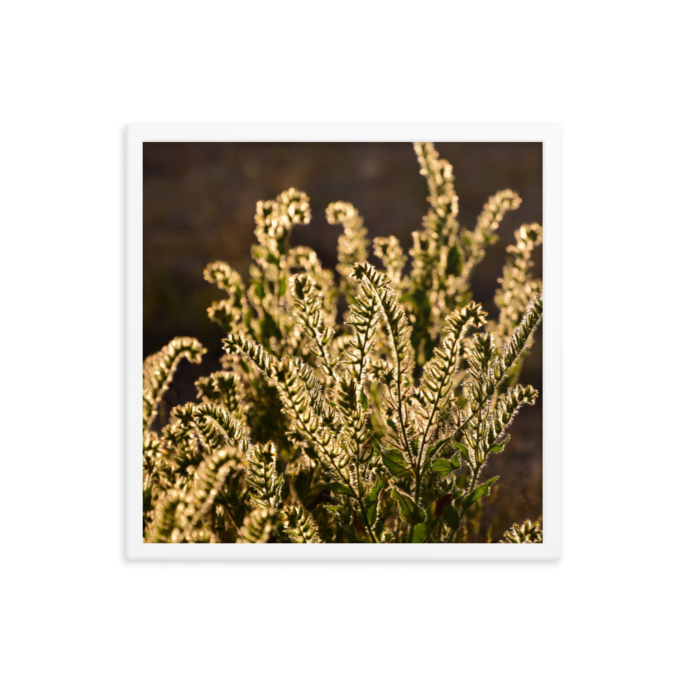 enhanced-matte-paper-framed-poster-(in)-white-18x18-5fc8f81b92a47.jpg