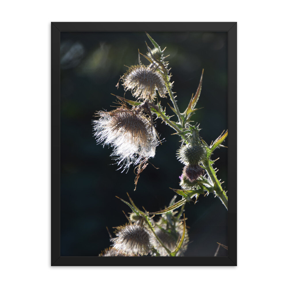enhanced-matte-paper-framed-poster-(in)-black-18x24-5fcb43ef2eb44.jpg