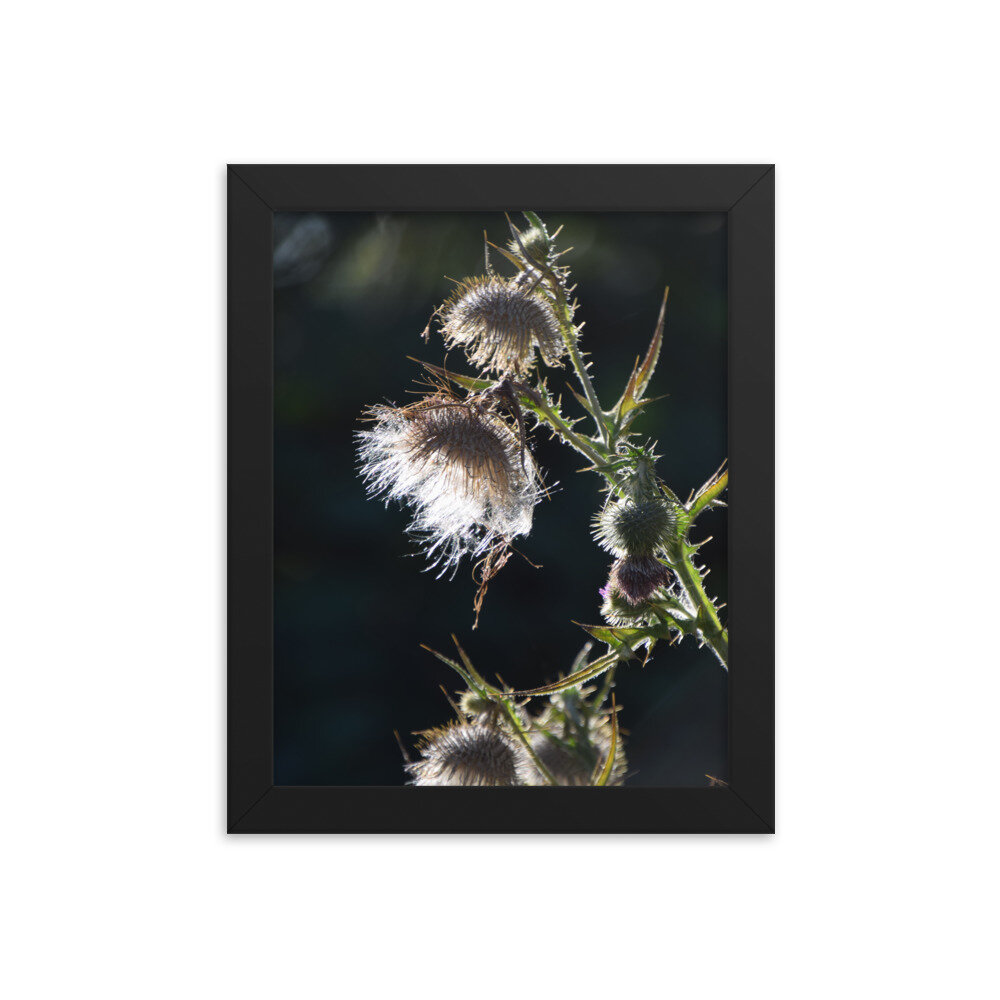 enhanced-matte-paper-framed-poster-(in)-black-8x10-5fcb43ef2ecd8.jpg