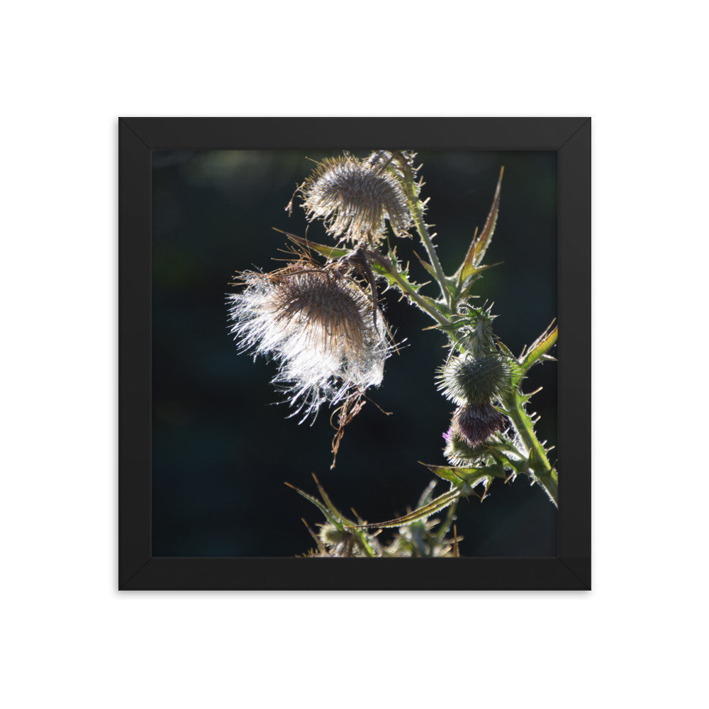 enhanced-matte-paper-framed-poster-(in)-black-10x10-5fcb43ef2ed27.jpg