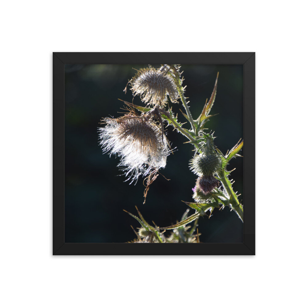 enhanced-matte-paper-framed-poster-(in)-black-12x12-5fcb43ef2ed67.jpg
