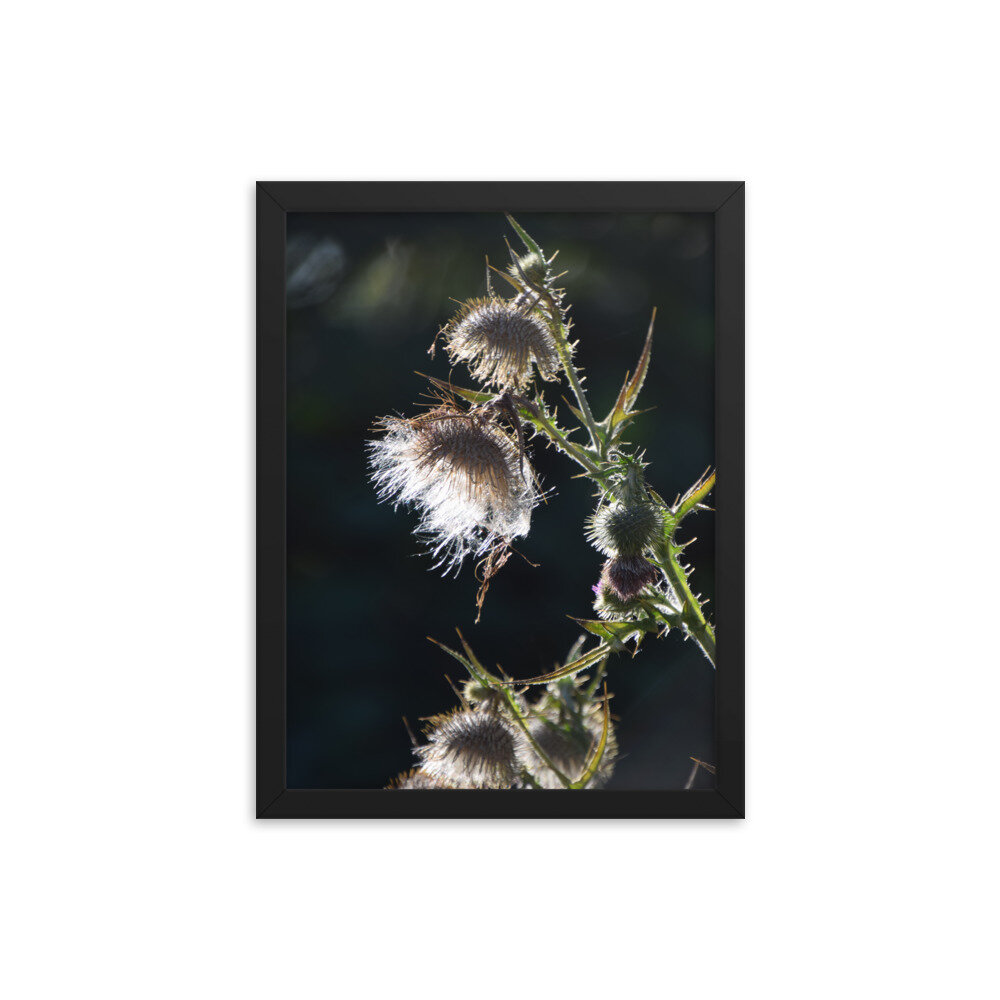 enhanced-matte-paper-framed-poster-(in)-black-12x16-5fcb43ef2edb2.jpg