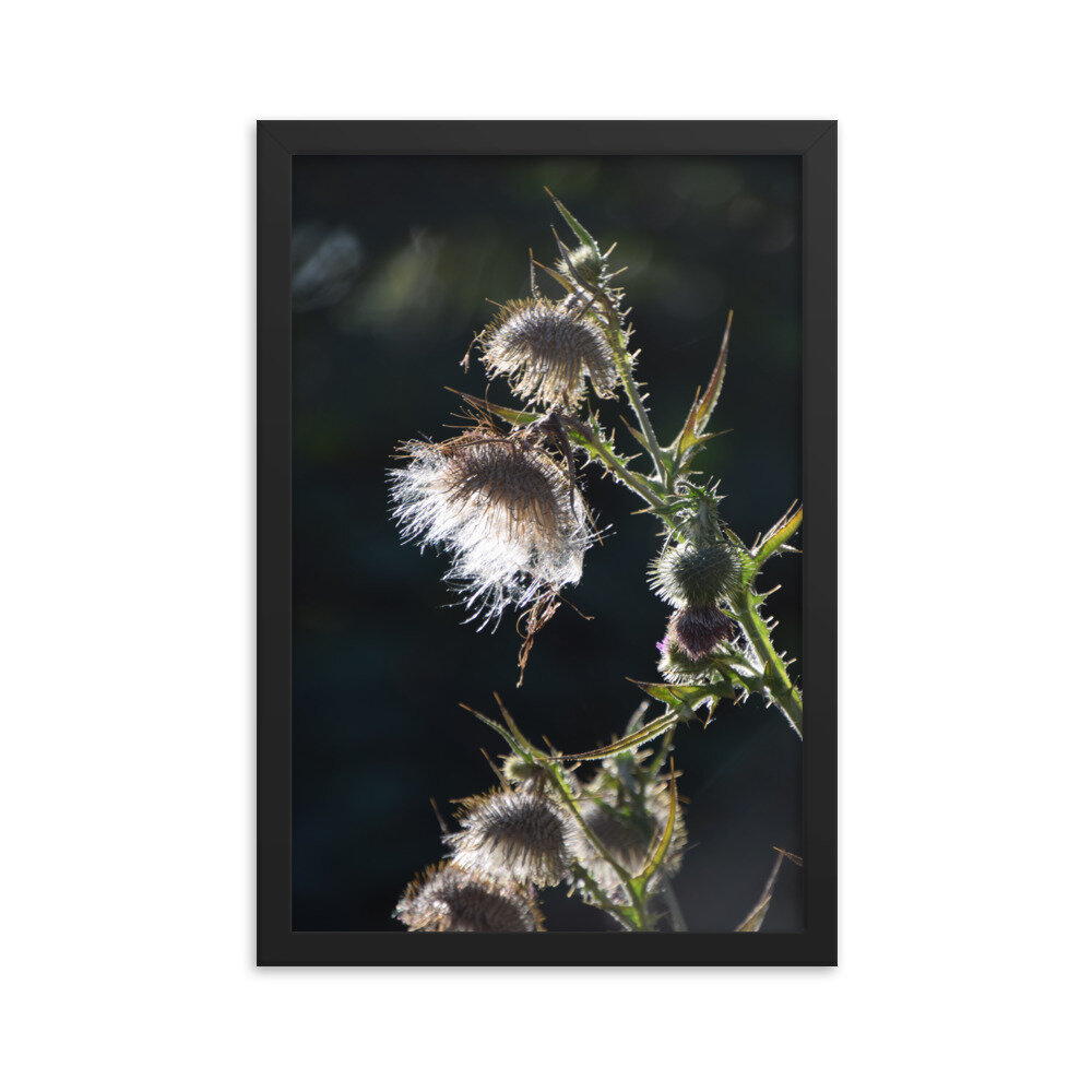 enhanced-matte-paper-framed-poster-(in)-black-12x18-5fcb43ef2ee32.jpg