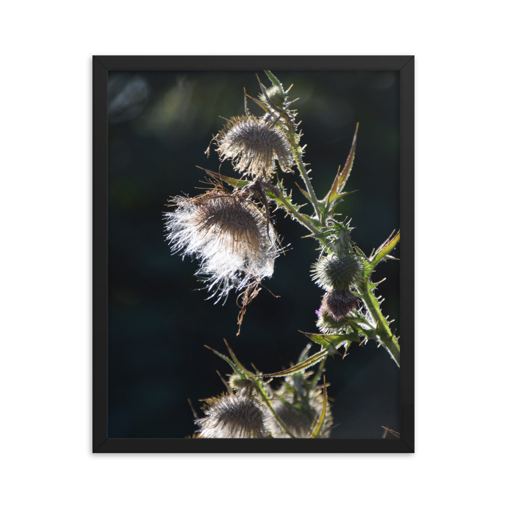 enhanced-matte-paper-framed-poster-(in)-black-16x20-5fcb43ef2eea7.jpg
