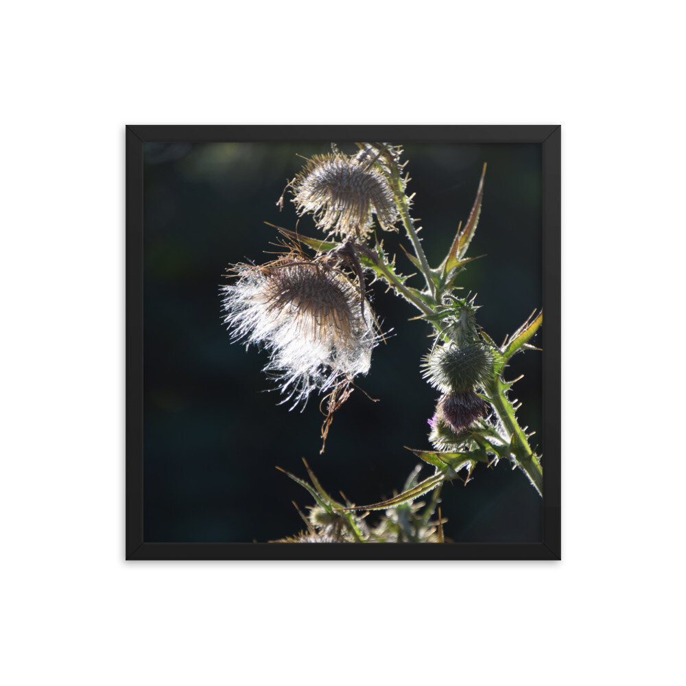 enhanced-matte-paper-framed-poster-(in)-black-18x18-5fcb43ef2eee1.jpg