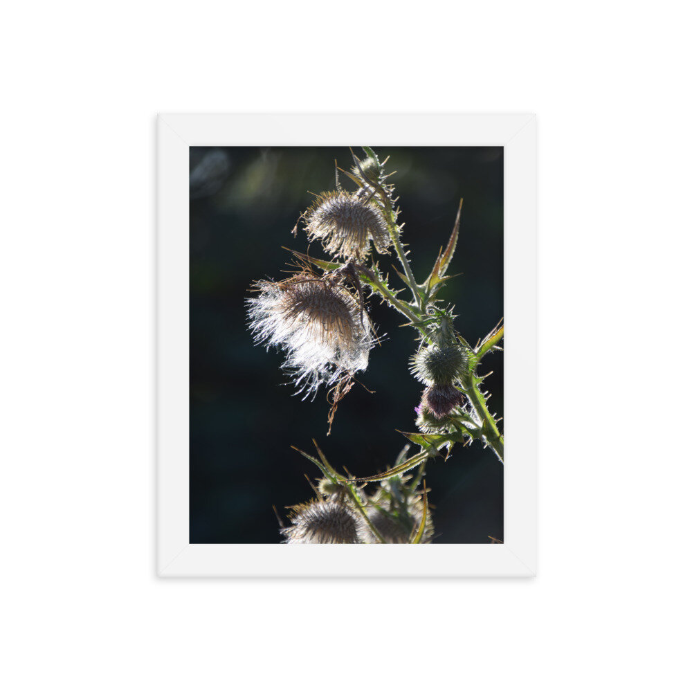 enhanced-matte-paper-framed-poster-(in)-white-8x10-5fcb43ef2ef33.jpg