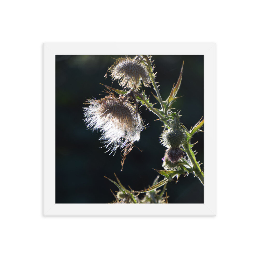 enhanced-matte-paper-framed-poster-(in)-white-10x10-5fcb43ef2ef7e.jpg