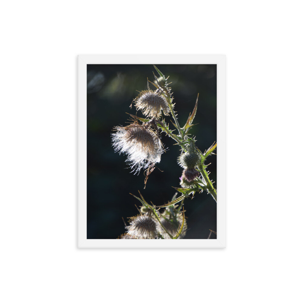 enhanced-matte-paper-framed-poster-(in)-white-12x16-5fcb43ef2eff2.jpg