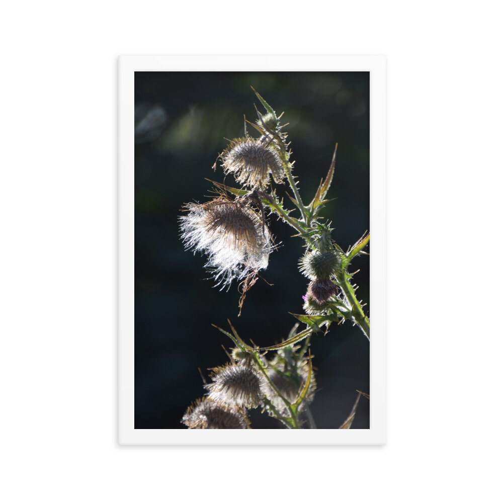 enhanced-matte-paper-framed-poster-(in)-white-12x18-5fcb43ef2f064.jpg