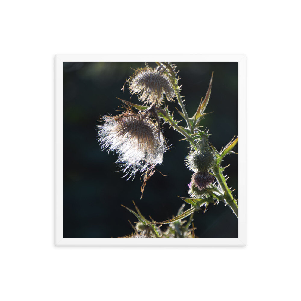 enhanced-matte-paper-framed-poster-(in)-white-18x18-5fcb43ef2f112.jpg