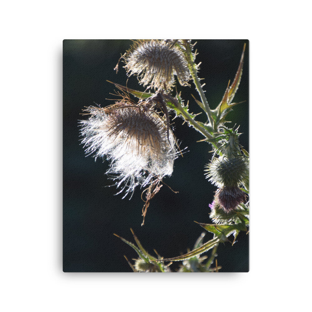 canvas-(in)-16x20-5fcb445a1e254.jpg