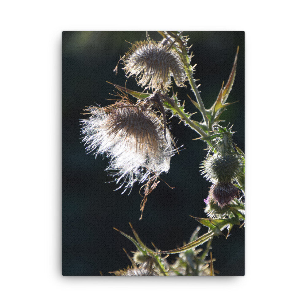 canvas-(in)-18x24-5fcb445a1e28a.jpg