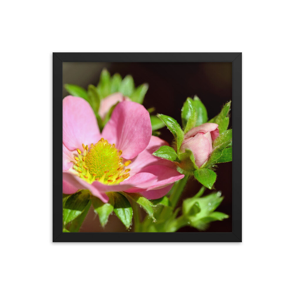 enhanced-matte-paper-framed-poster-(in)-black-14x14-5fcc35a3832f9.jpg
