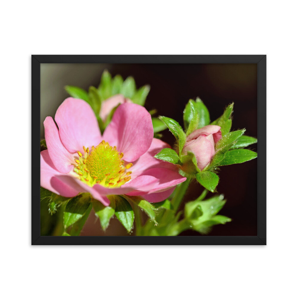 enhanced-matte-paper-framed-poster-(in)-black-16x20-5fcc35a383410.jpg