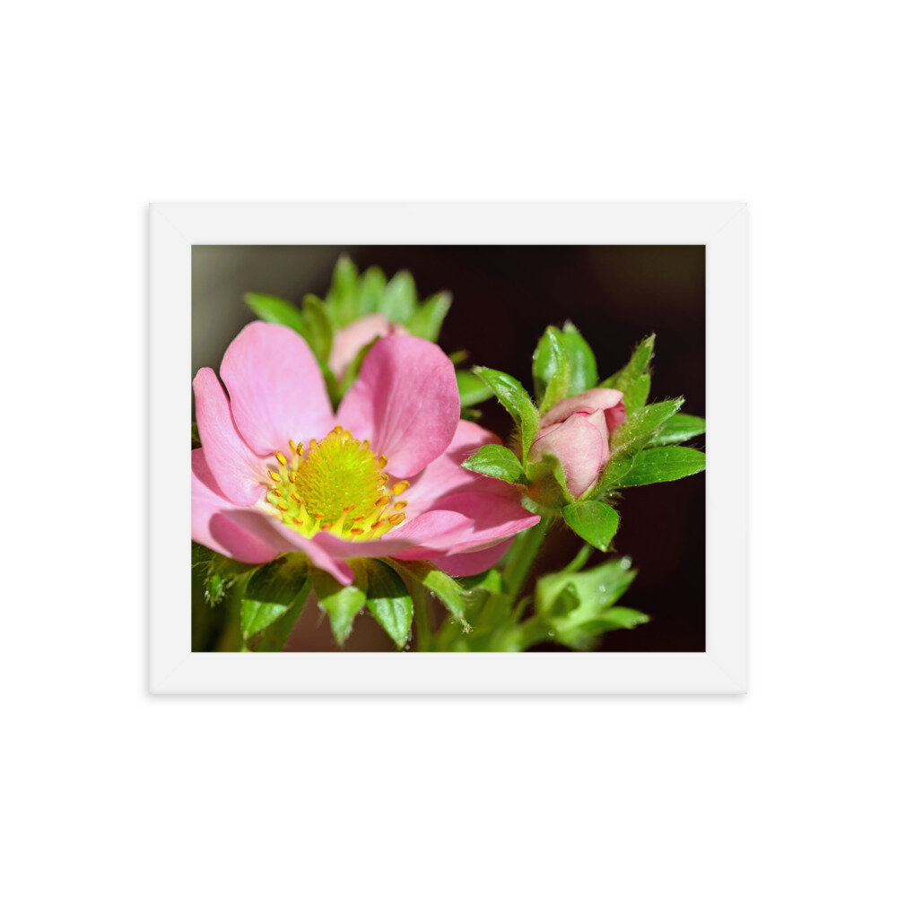 enhanced-matte-paper-framed-poster-(in)-white-8x10-5fcc35a3834e6.jpg