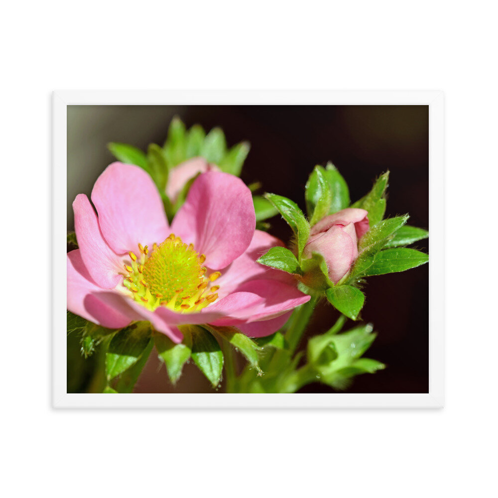enhanced-matte-paper-framed-poster-(in)-white-16x20-5fcc35a383777.jpg