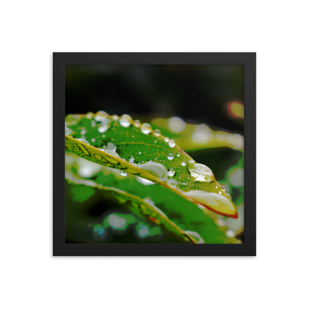 enhanced-matte-paper-framed-poster-(in)-black-12x12-5fcc38a5c2914.jpg