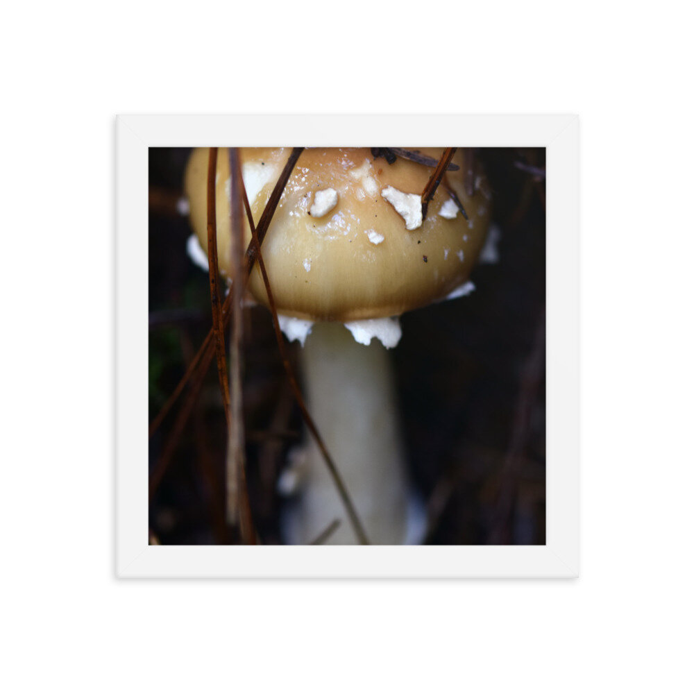 enhanced-matte-paper-framed-poster-(in)-white-10x10-5fcc557968152.jpg