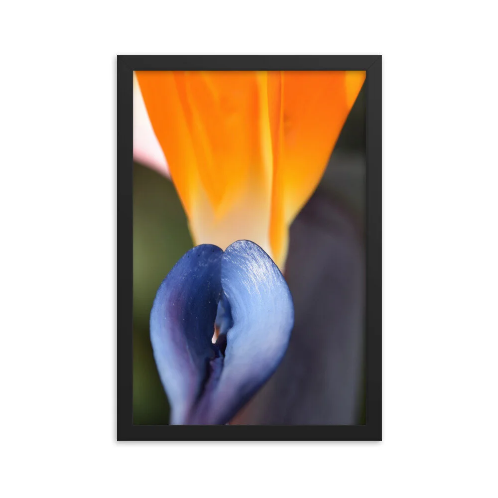 enhanced-matte-paper-framed-poster-(in)-black-12x18-5fcd63e4beebe.jpg