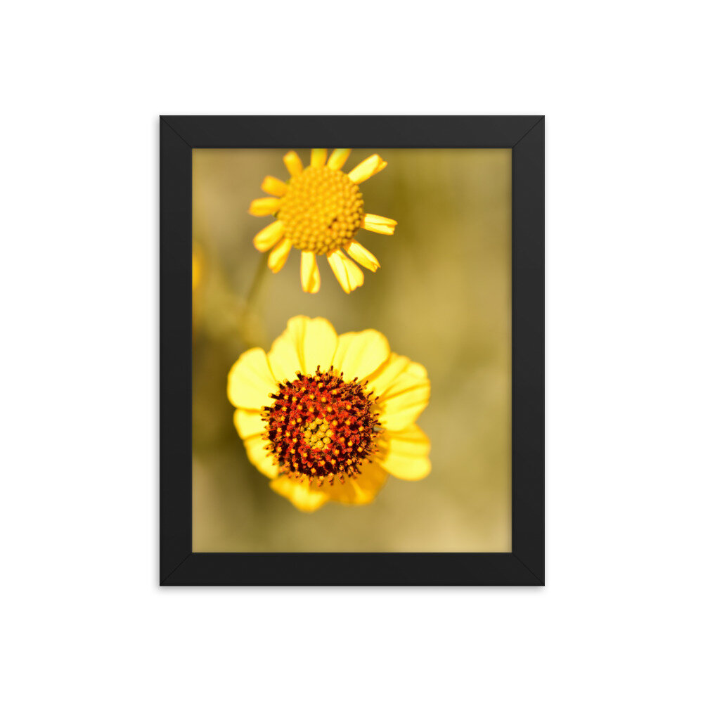 enhanced-matte-paper-framed-poster-(in)-black-8x10-5fcd65efd722f.jpg