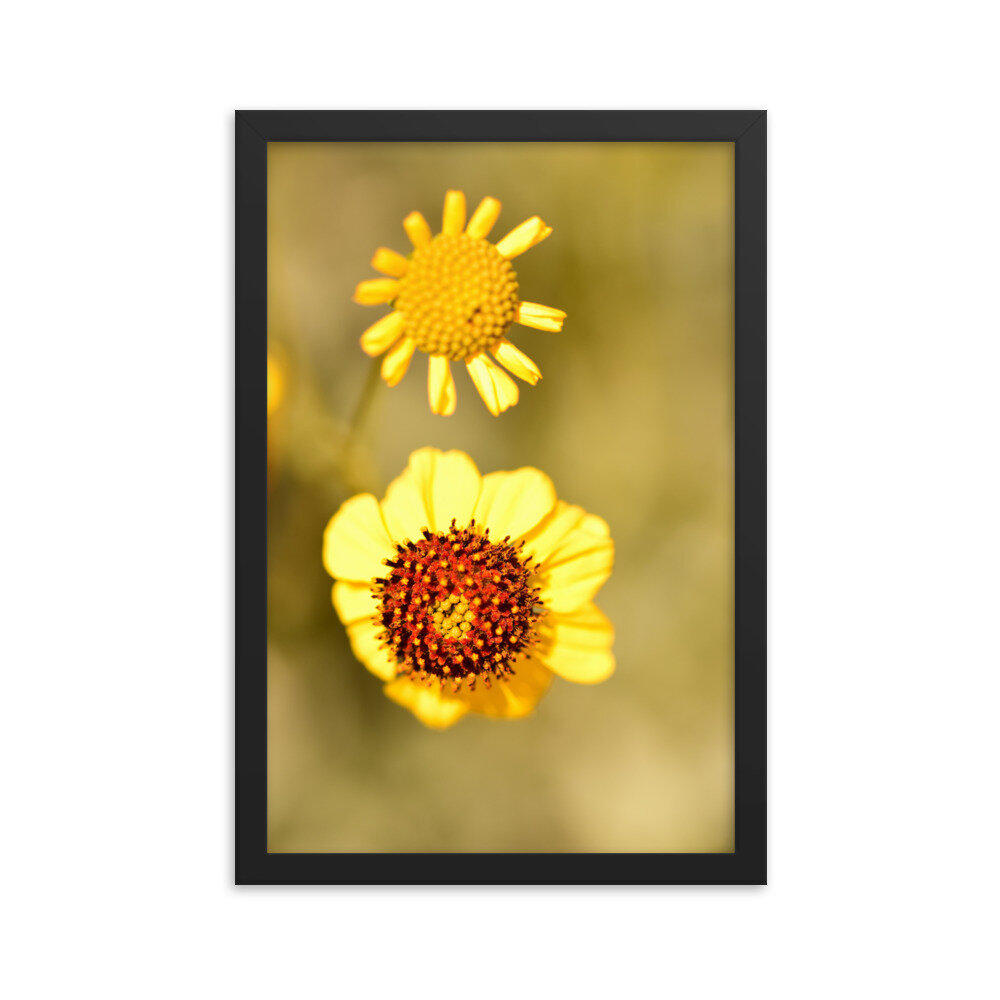 enhanced-matte-paper-framed-poster-(in)-black-12x18-5fcd65efd744b.jpg