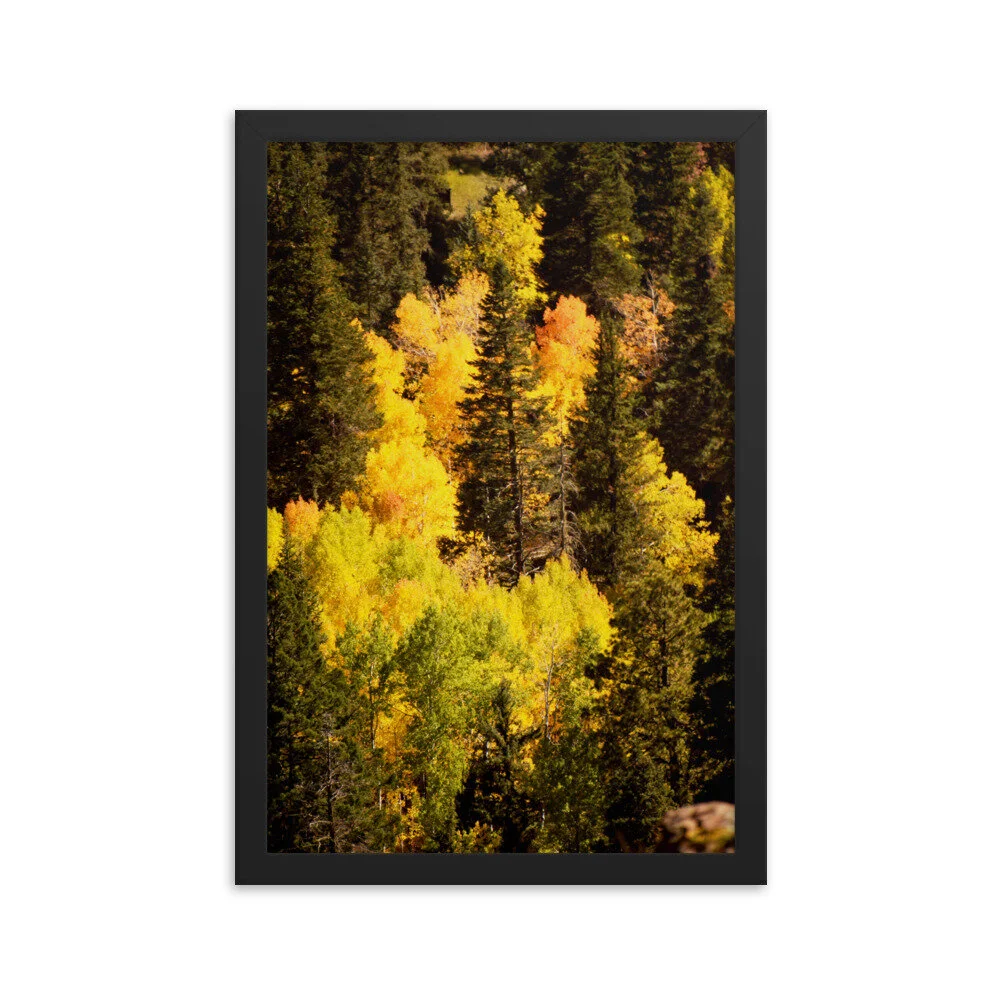 enhanced-matte-paper-framed-poster-(in)-black-12x18-5fcd85b3eeeb4.jpg