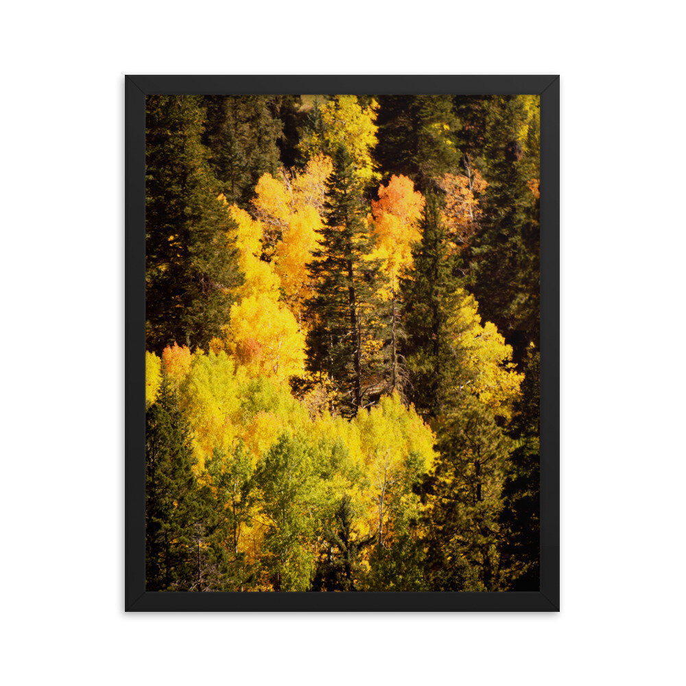 enhanced-matte-paper-framed-poster-(in)-black-16x20-5fcd85b3eef6f.jpg