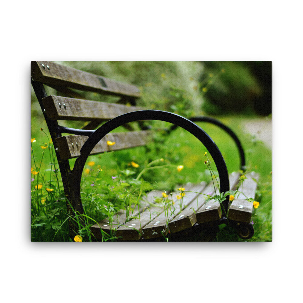 canvas-(in)-18x24-5fcda41f32990.jpg