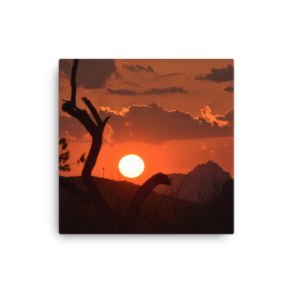 canvas-(in)-12x12-5fd0170e0c402.jpg