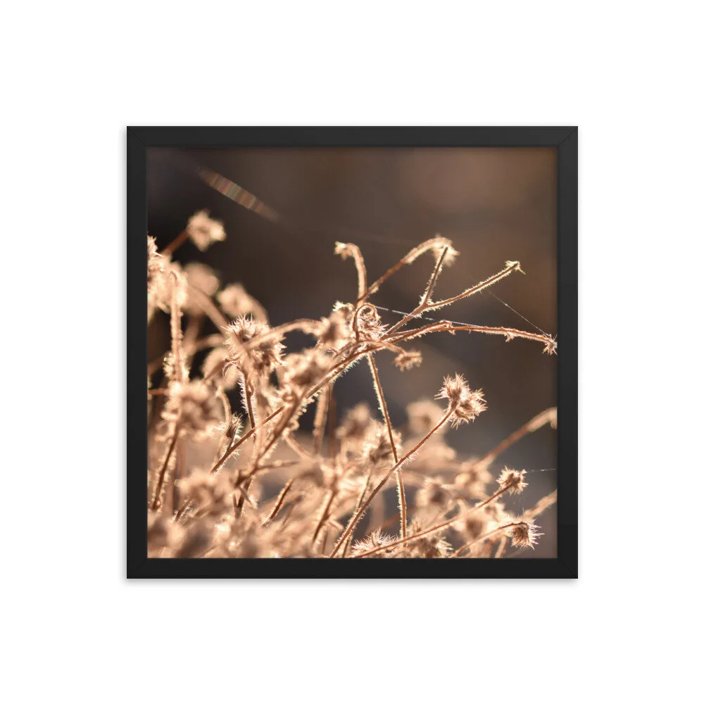enhanced-matte-paper-framed-poster-(in)-black-16x16-5fd026173c3b4.jpg