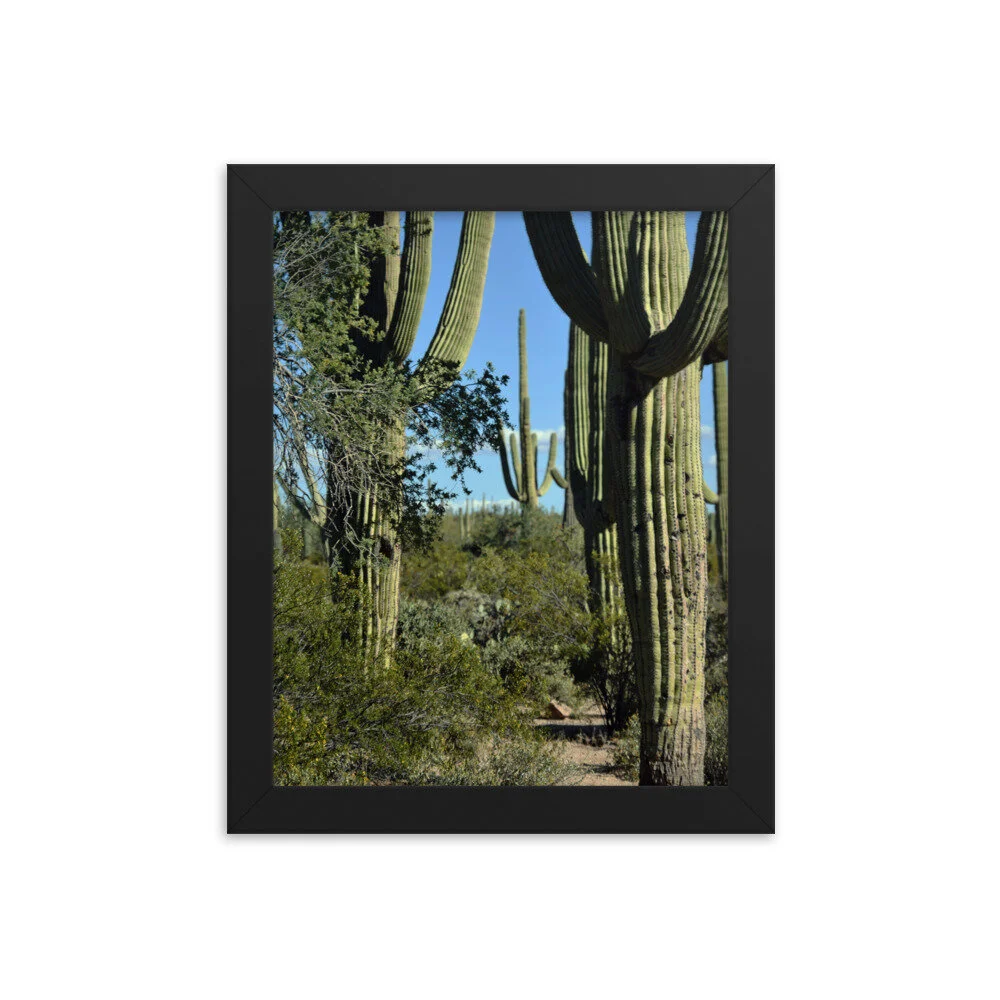 enhanced-matte-paper-framed-poster-(in)-black-8x10-5fde487edbd82.jpg