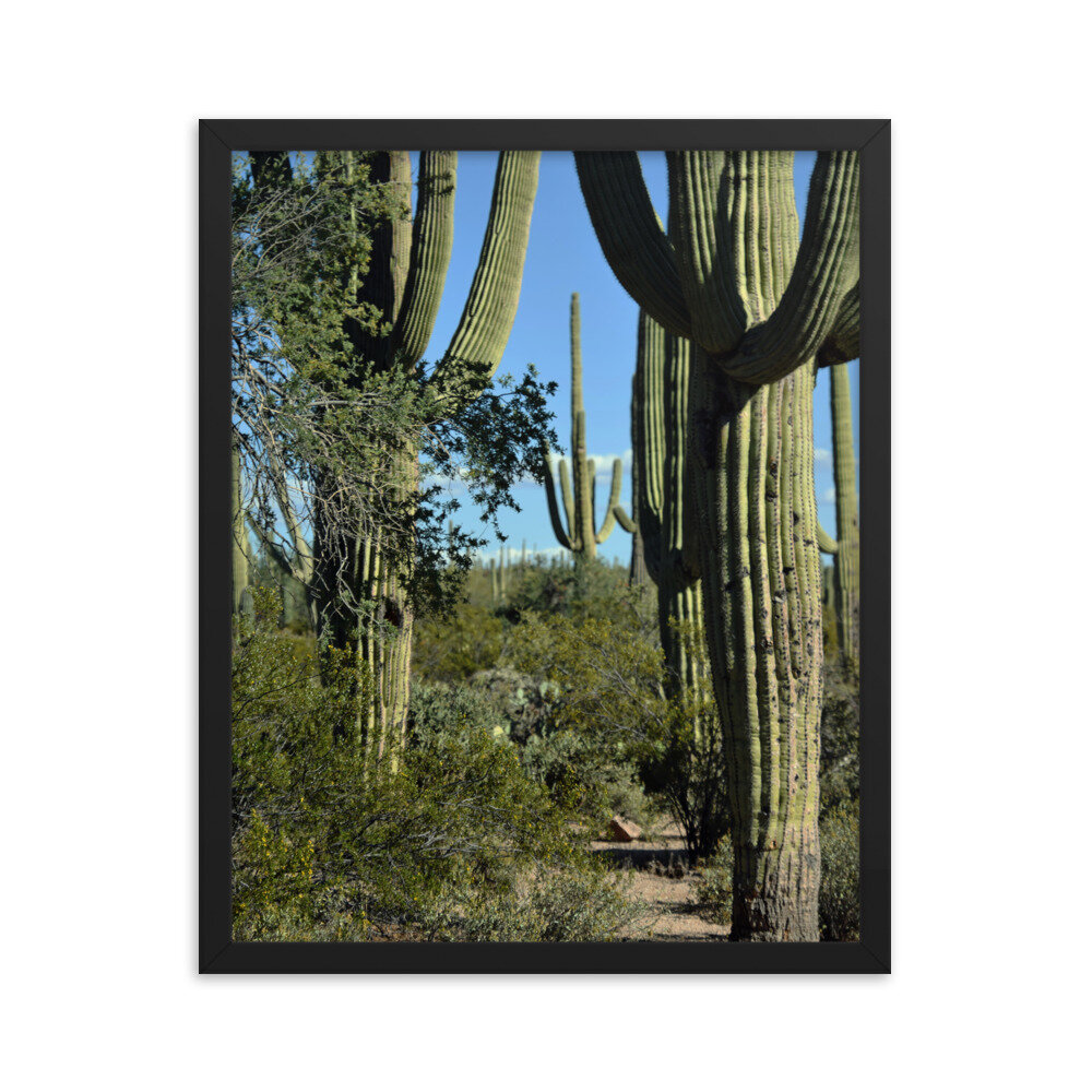 enhanced-matte-paper-framed-poster-(in)-black-16x20-5fde487edbf7b.jpg