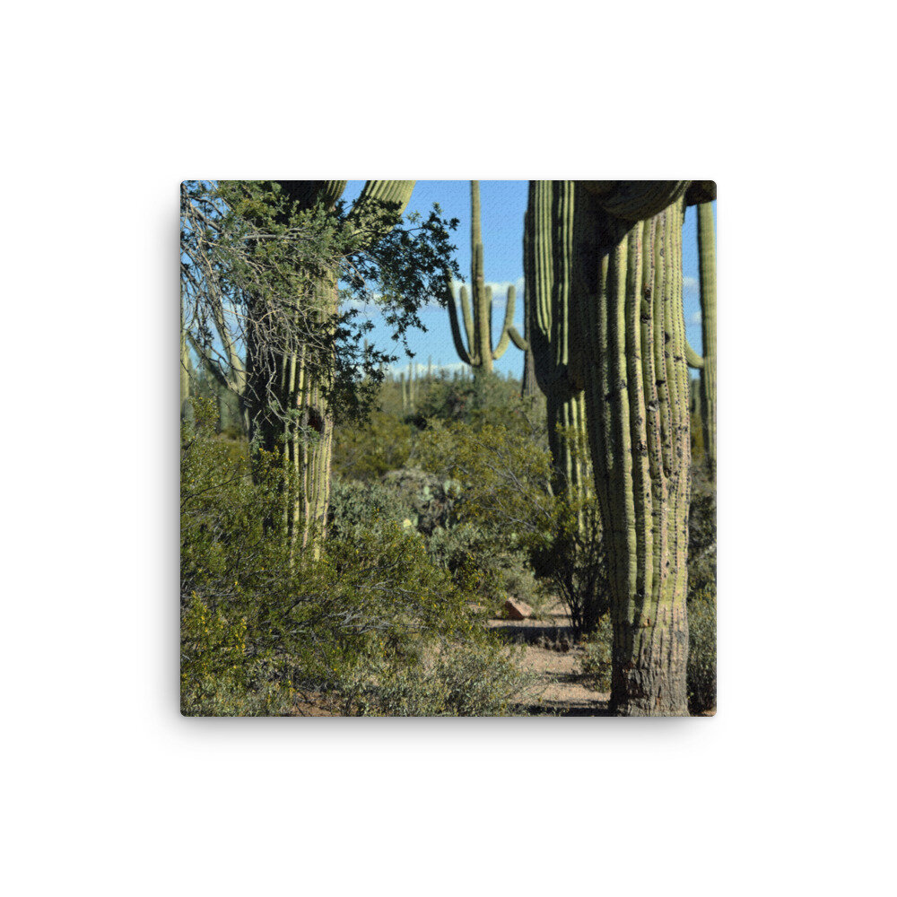 canvas-(in)-12x12-5fde4946ee618.jpg