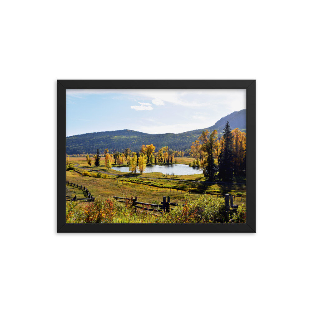 enhanced-matte-paper-framed-poster-(in)-black-12x16-5fde518b2ecf1.jpg