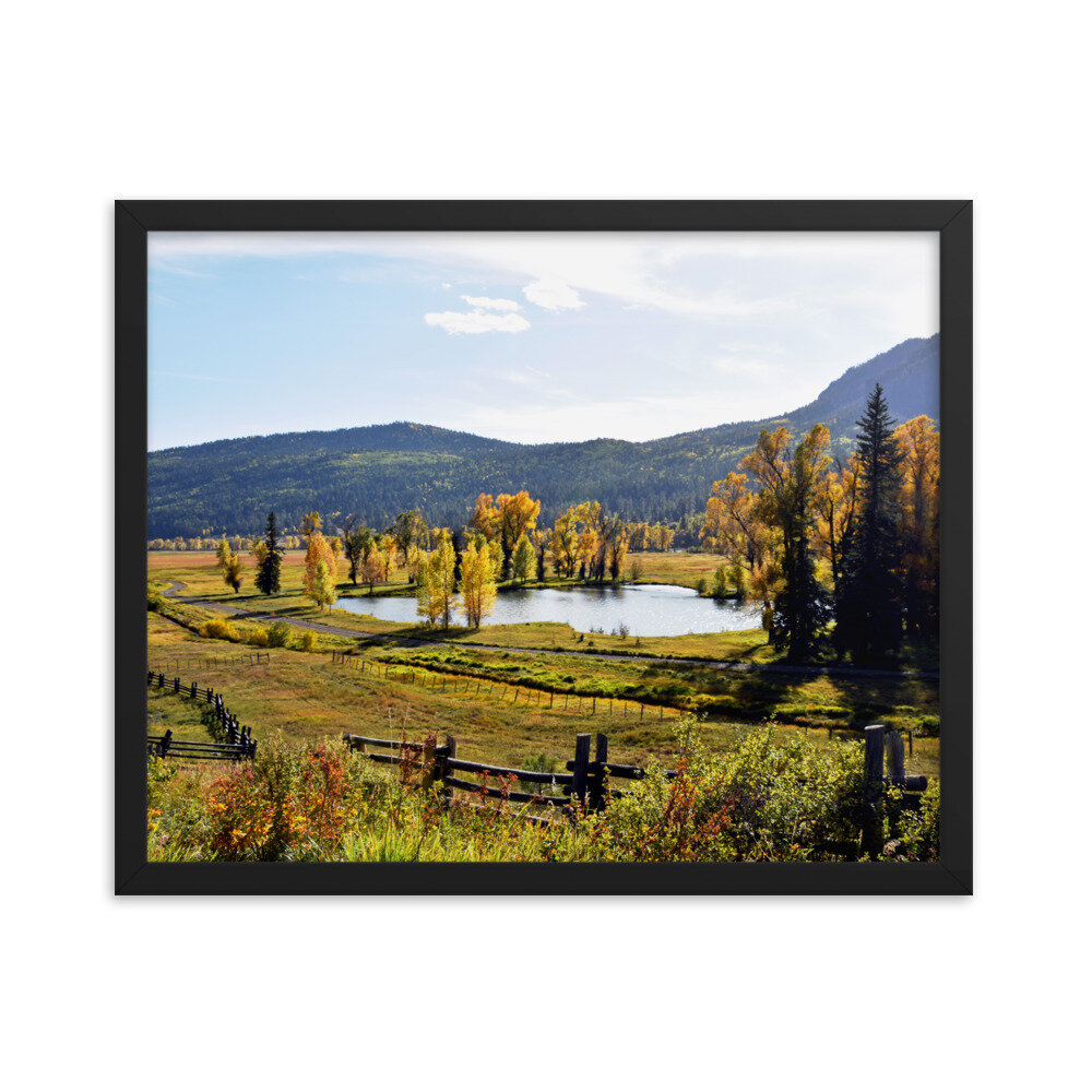 enhanced-matte-paper-framed-poster-(in)-black-16x20-5fde518b2ee04.jpg