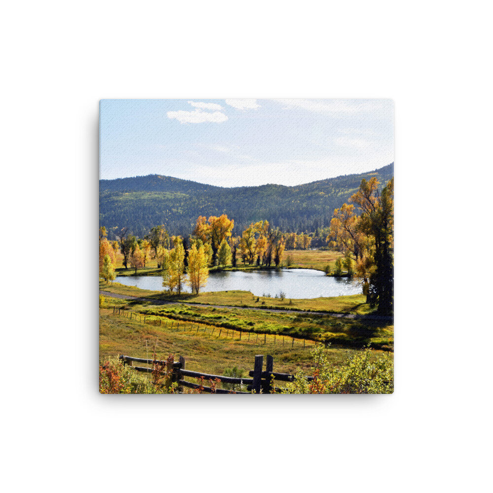 canvas-(in)-12x12-5fde51e7c2f44.jpg
