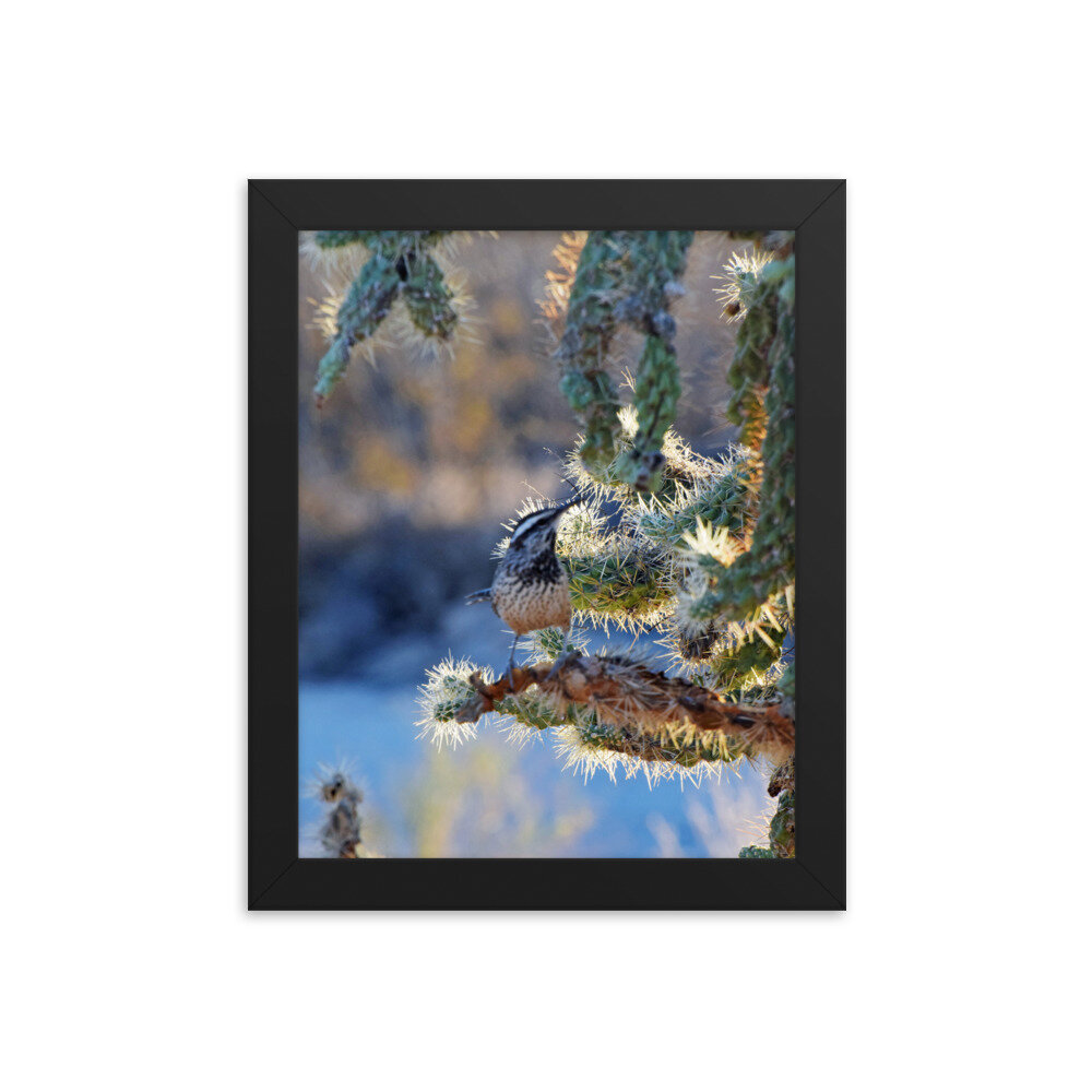 enhanced-matte-paper-framed-poster-(in)-black-8x10-5fe69a0d29d35.jpg