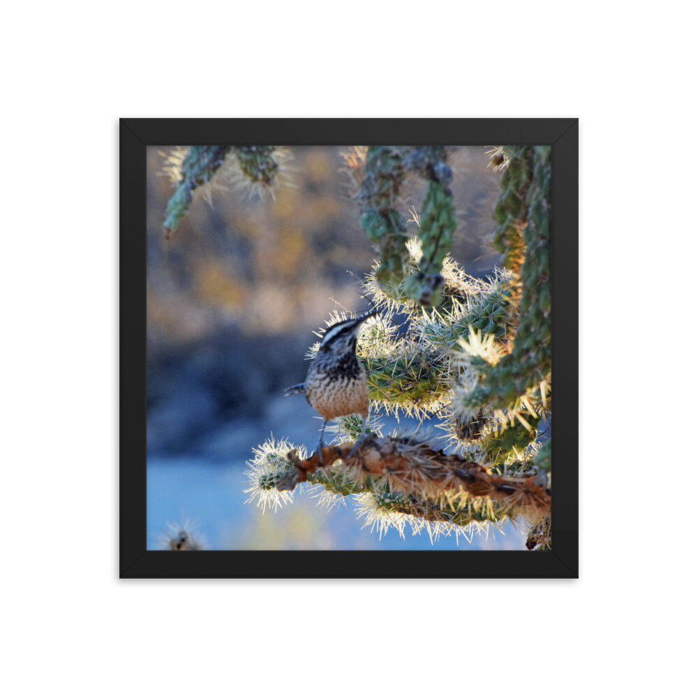 enhanced-matte-paper-framed-poster-(in)-black-12x12-5fe69a0d29e1c.jpg